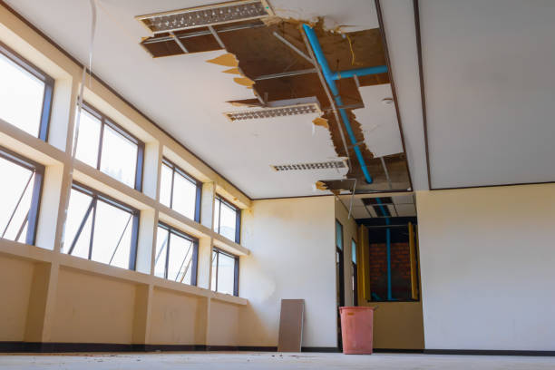 Best Basement water damage restoration  in Childersburg, AL