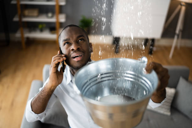 Best Water damage cleanup near me  in Childersburg, AL