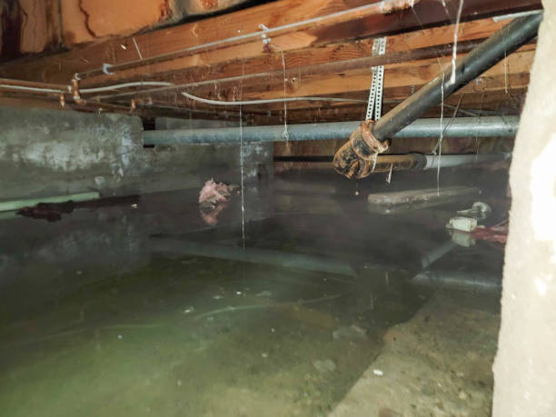 Carpet water damage restoration in AL