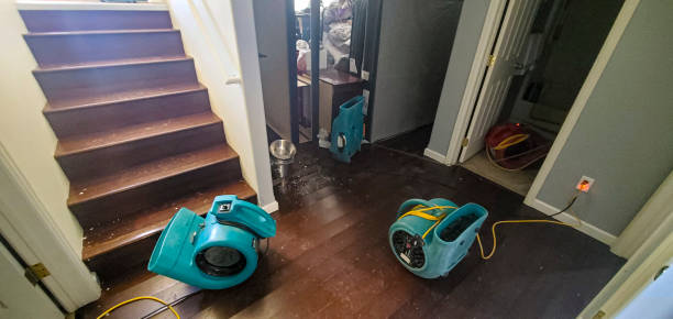 Best Water damage restoration experts  in Childersburg, AL