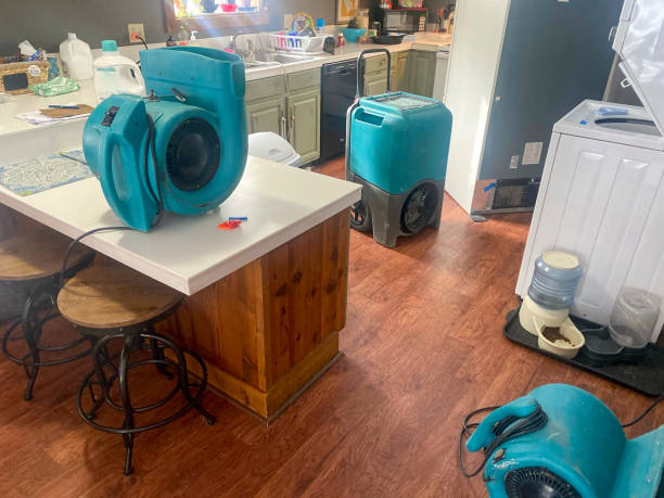 Best Water damage restoration near me  in Childersburg, AL