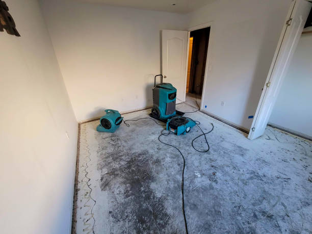 Best Local water damage restoration  in Childersburg, AL