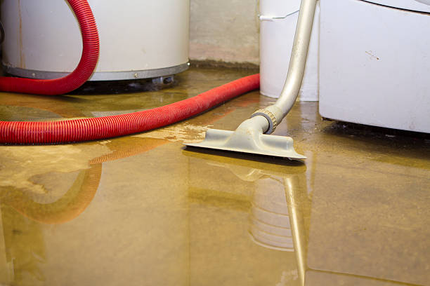 Best Flood damage cleanup  in Childersburg, AL
