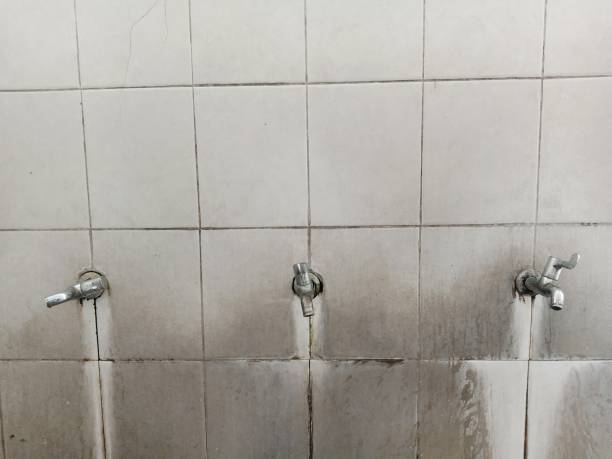 Best Local water damage restoration  in Childersburg, AL