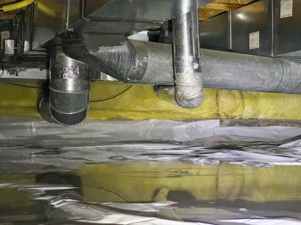 Best Carpet water damage restoration  in Childersburg, AL