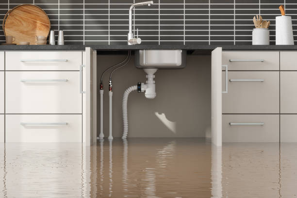 Best Water damage restoration near me  in Childersburg, AL