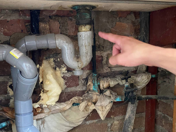 Best 24-hour water damage restoration  in Childersburg, AL